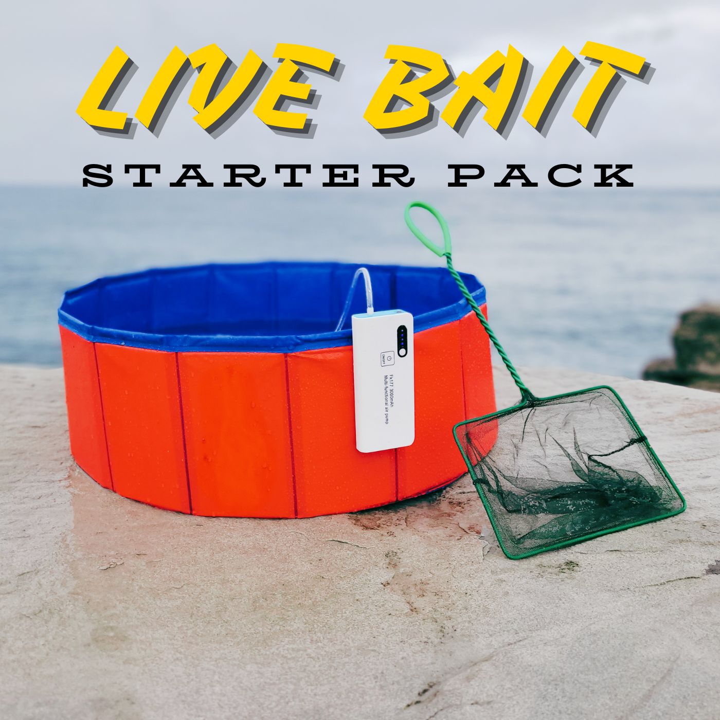 Live Bait Starter Pack