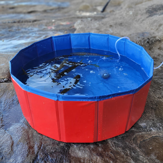 Foldable Live Bait Pool